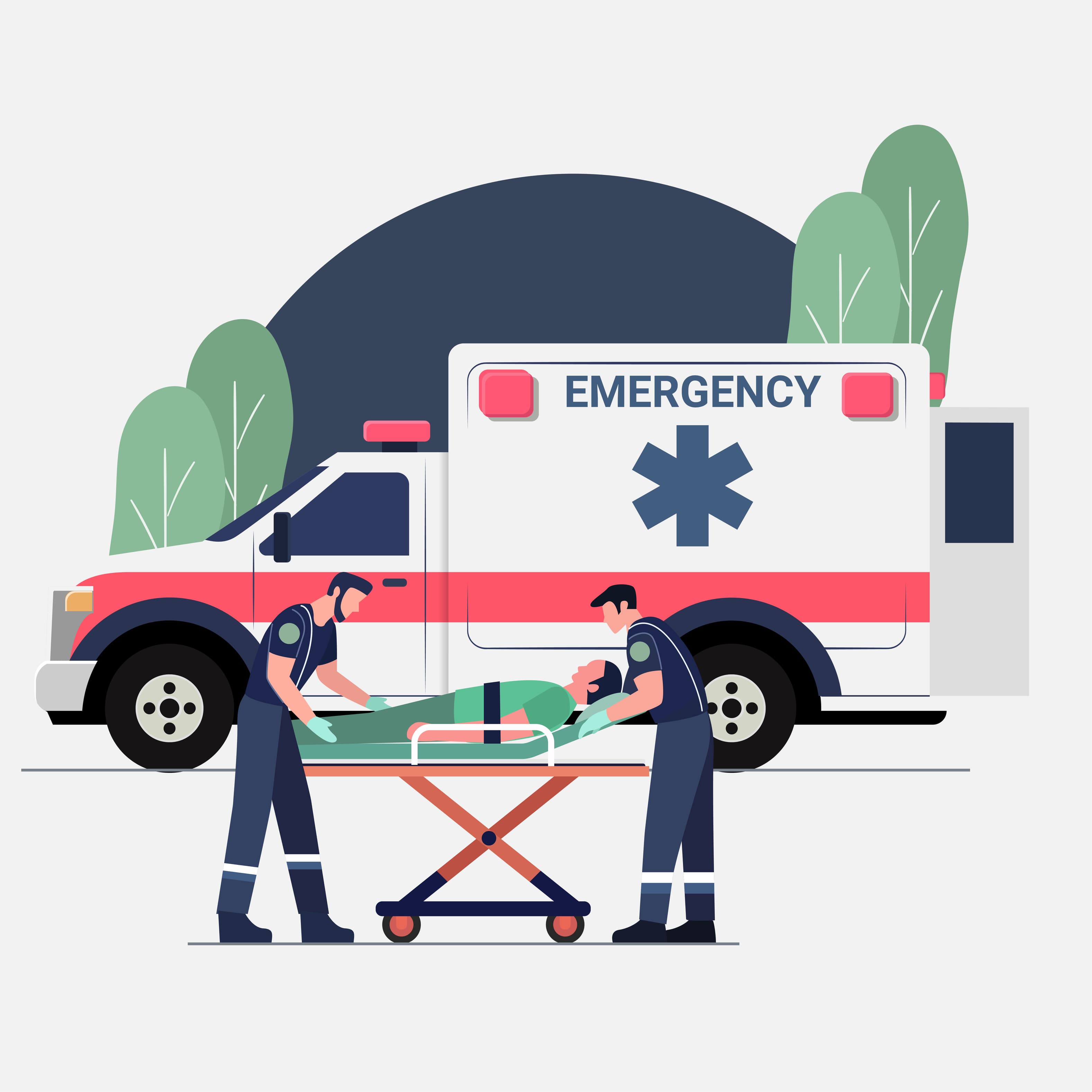 More Than Assistance, We Secure Your Journey