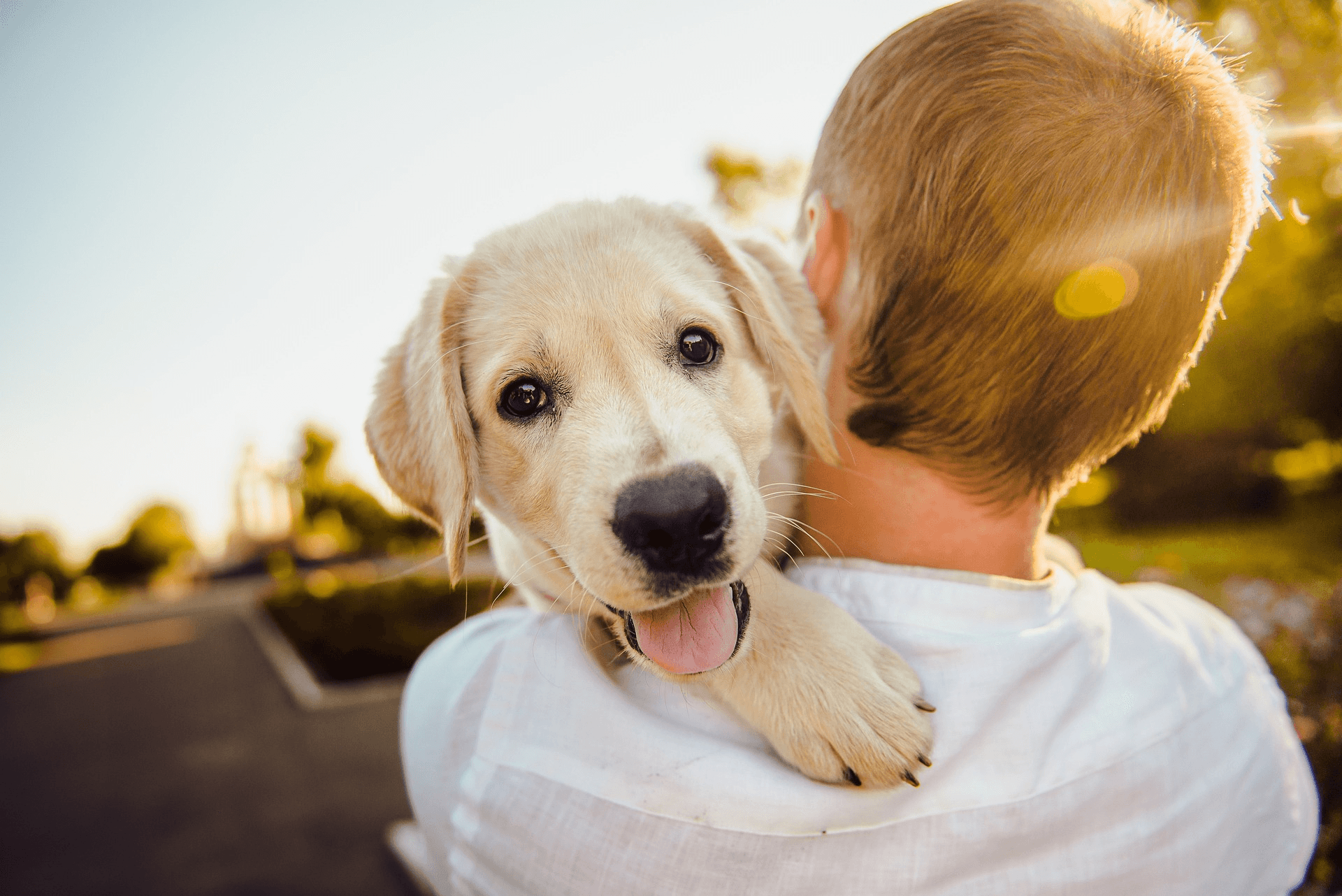 Care Beyond the Road